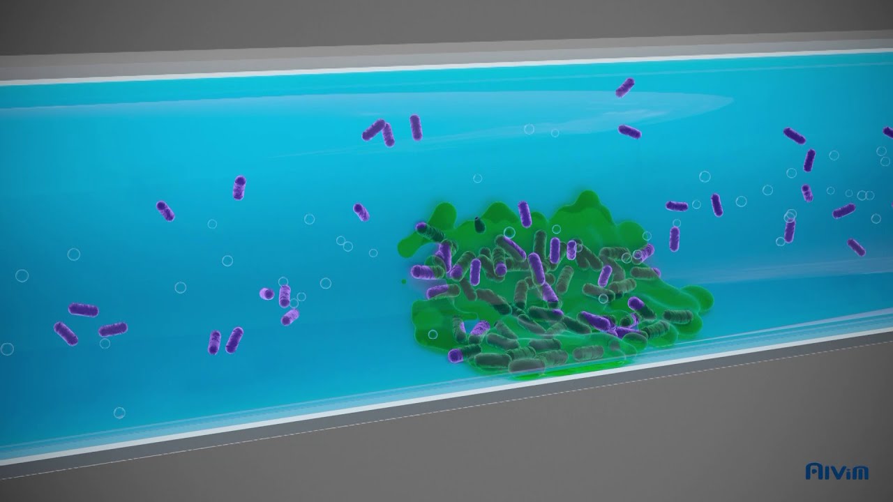 Biofilm detection and prevention of related issues YouTube