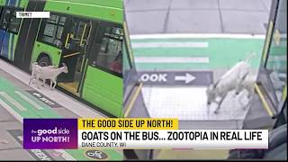 The Good Side Up North! Friday, August 21, 2026