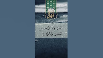 Surat Al-Qiyamah | أَوۡلَىٰ لَكَ فَأَوۡلَىٰ حالات واتس اب | سورة القيامة