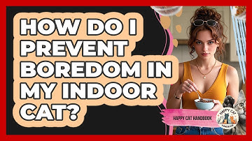 How Do I Prevent Boredom In My Indoor Cat? - Happy Cat Handbook