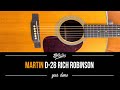 Martin D-28 RICH ROBINSON