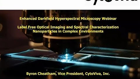 Label-Free Imaging of Nanoparticles in Complex Biological Environments with CytoViva