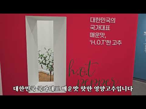 영양고추홍보전시관