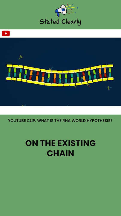 RNA replication and evolution