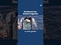 Buckelwal ist in der Nordsee freigesetzt