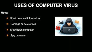 Computer Virus | Definition Uses Examples | Basics