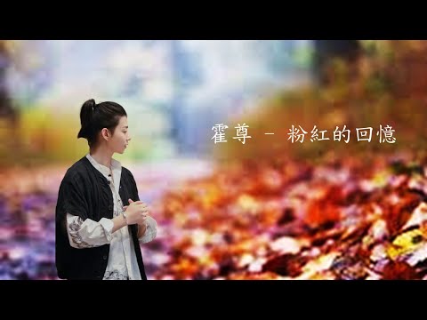 霍尊 - 粉紅的回憶