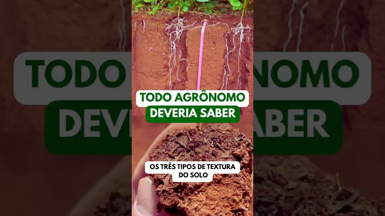 Os três tipos de textura do solo. 