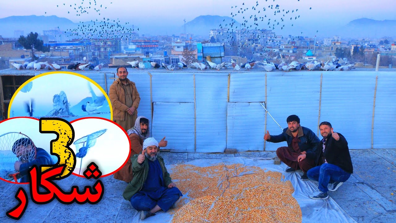 ۳ شکار با ترفند جديد | سارباز- شوق با ابراهیم جان هراتی | New technique for hunting of Pigeon