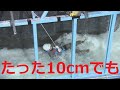 “たった10cm”でも…威力はケタ違い　津波の恐ろしさをアナウンサーが体感