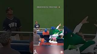 Ballpark Heroes You’ll Never Forget 💥⚾#mlb #baseball#catch