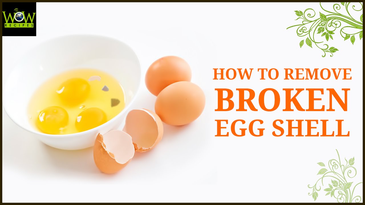 How to Remove Broken Egg Shell from a Bowl | Useful Kitchen Tips and Tricks | WOW Recipes