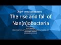 The rise and fall of Nanobacteria