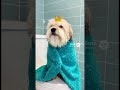 Bath Time Betrayal