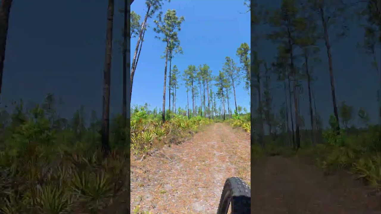 Fosters Doubletrack and some FT