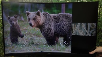MSI MAG 321CUP: How to Manage PBP for Ultimate Multi-Screen Experience!