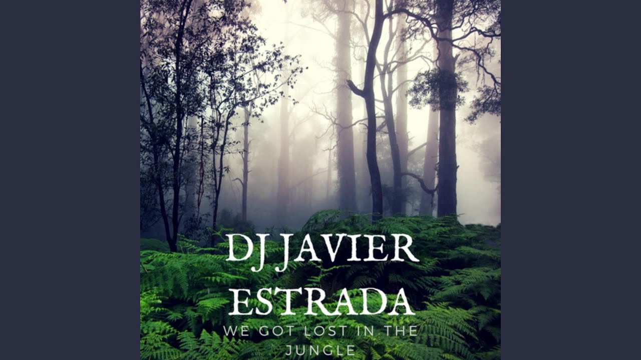 We Got Lost In The Jungle