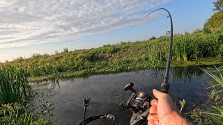 Fishing For Wild Tench On The Pevensey Drains