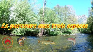 Le parcours aux trois espèces de salmonidés (Nymphe au toc)