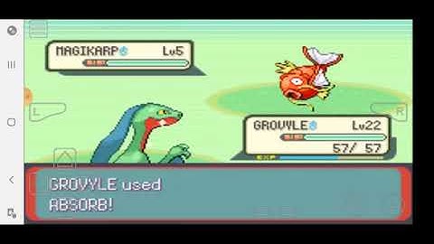 Pokemon Emerald Walkthrough Episode 11:Route 110