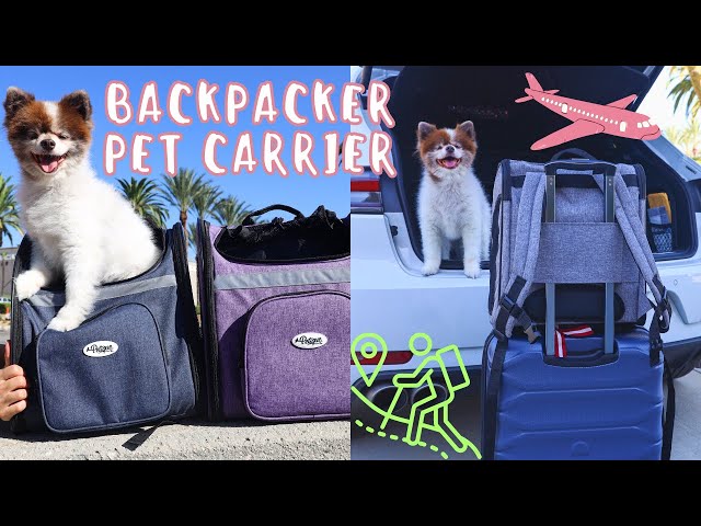 Petique 5-in-1 Travel Pet Carrier (Pet Carrier Only) for Dog/Cat