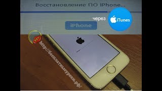 Восстановление iPhone 5S через iTunes