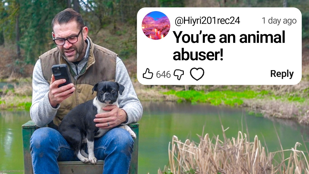 Как я справляюсь с хейтерами…