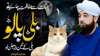 Billi Paloo Teen Raaz Bayan | Saqib Raza Mustafai