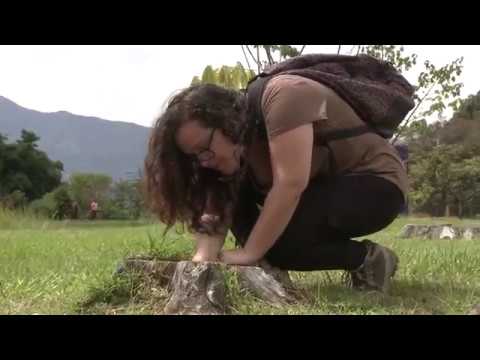 Segundo Taxatón La Sabana camera iphone 8 plus apk