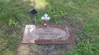 The Grave of Chicago Bears Brian Piccolo