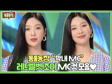 아무런 약속도 없는 일요일 오전~ <strong>동물농장</strong> <strong>MC</strong> 조이 보기 딱 좋은 시간! I TV동물농장 (Animal Farm) | SBS Story