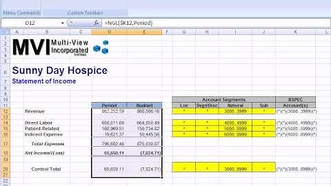 Hospice Accounting & Reporting F9: #11 Viewer