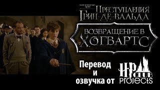 «Фантастические Твари: Преступления Грин-Де-Вальда» – Возвращение В Хогвартс