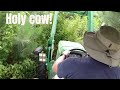 John Deere tractor bushhogging some bad stuff