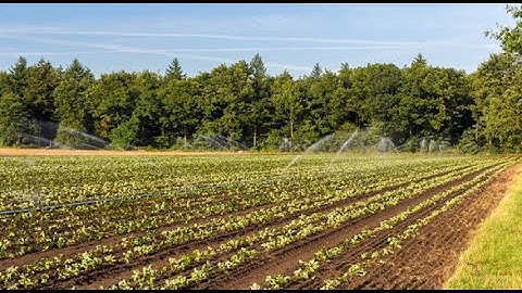 25 - كونكت بلس ثالثه ابتدائى ترم اول  Connect Plus G 3 Unit 6 What is a flood Lesson 4