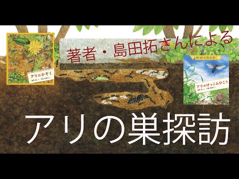 島田拓さんによるアリの巣探訪