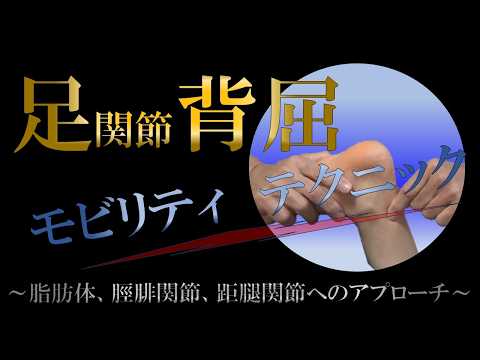 Vol. 395 Ankle Dorsiflexion Mobility Techniques! - YouTube