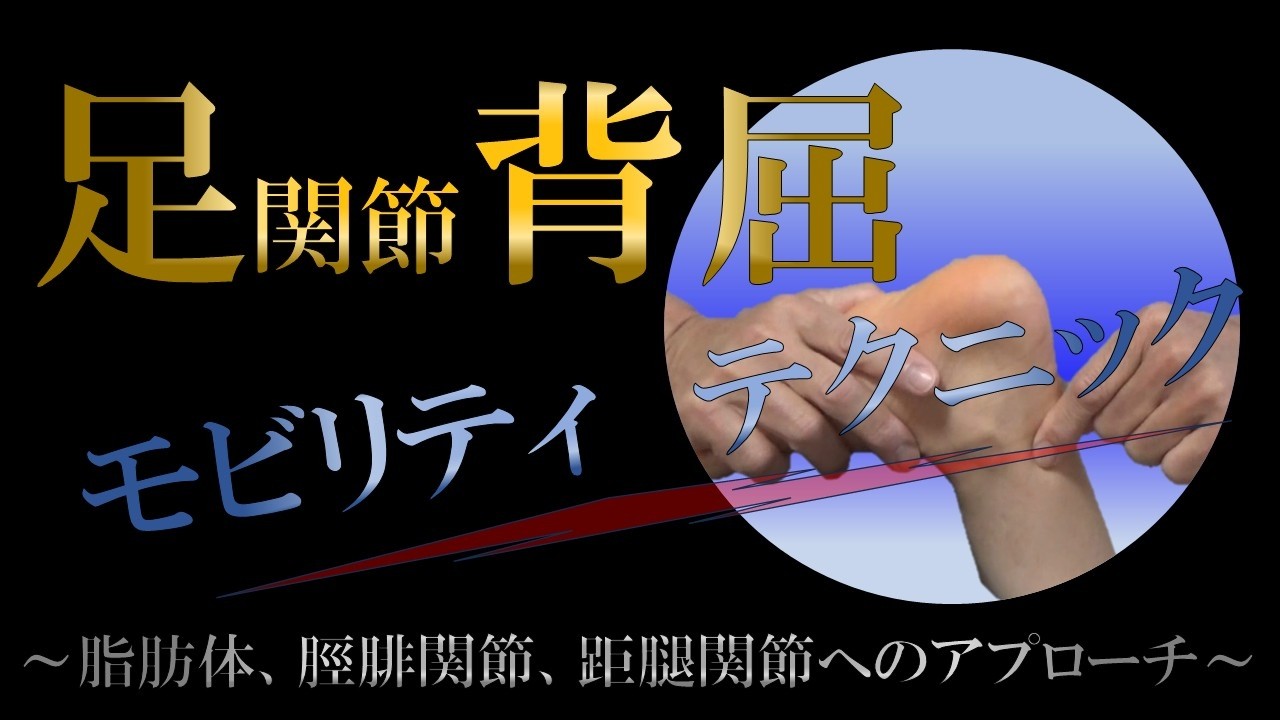 vol.395 足関節 背屈モビリティテクニック！