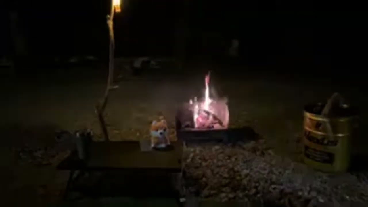 キャンプ男 がライブ配信中！