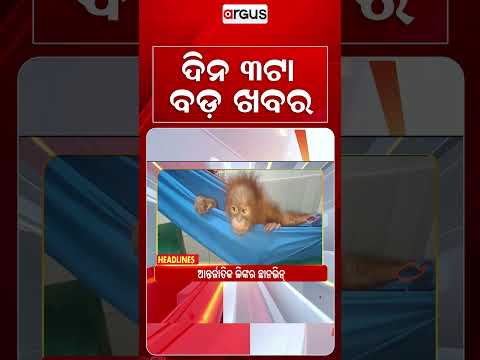 3 PM Headlines | 18 Sep 2026 | Today’s Top News Updates | Odisha Latest News | Argus News