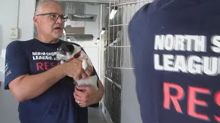 Bossier City Animal Control makes room for displaced Hurricane Ida pets screenshot 5
