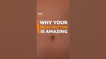 Heb je een innie of een outie? #BellyButton #Anatomy #BBCIdeas