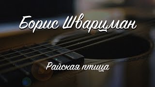 Райская птица ► Борис Шварцман