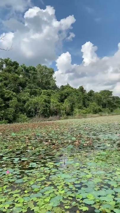 Siem Reap