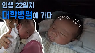 조리원 퇴원 후 일어난 일. | 신생아심장잡음 | BCG주사 | 불주사 |