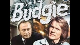 British TV ComedyDrama: Budgie  Where are they now?