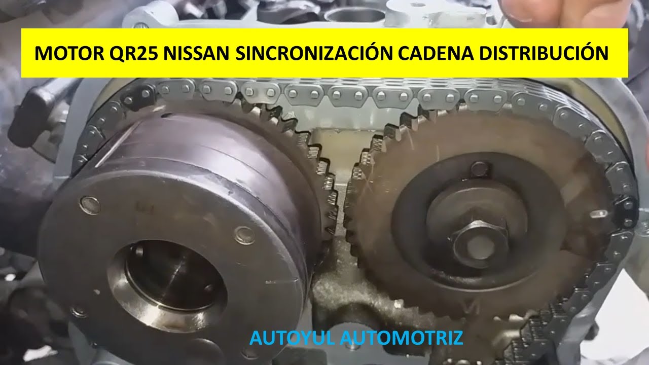 MOTOR QR25 NISSAN SINCRONIZACIÓN CADENA DE DISTRIBUCIÓN YouTube