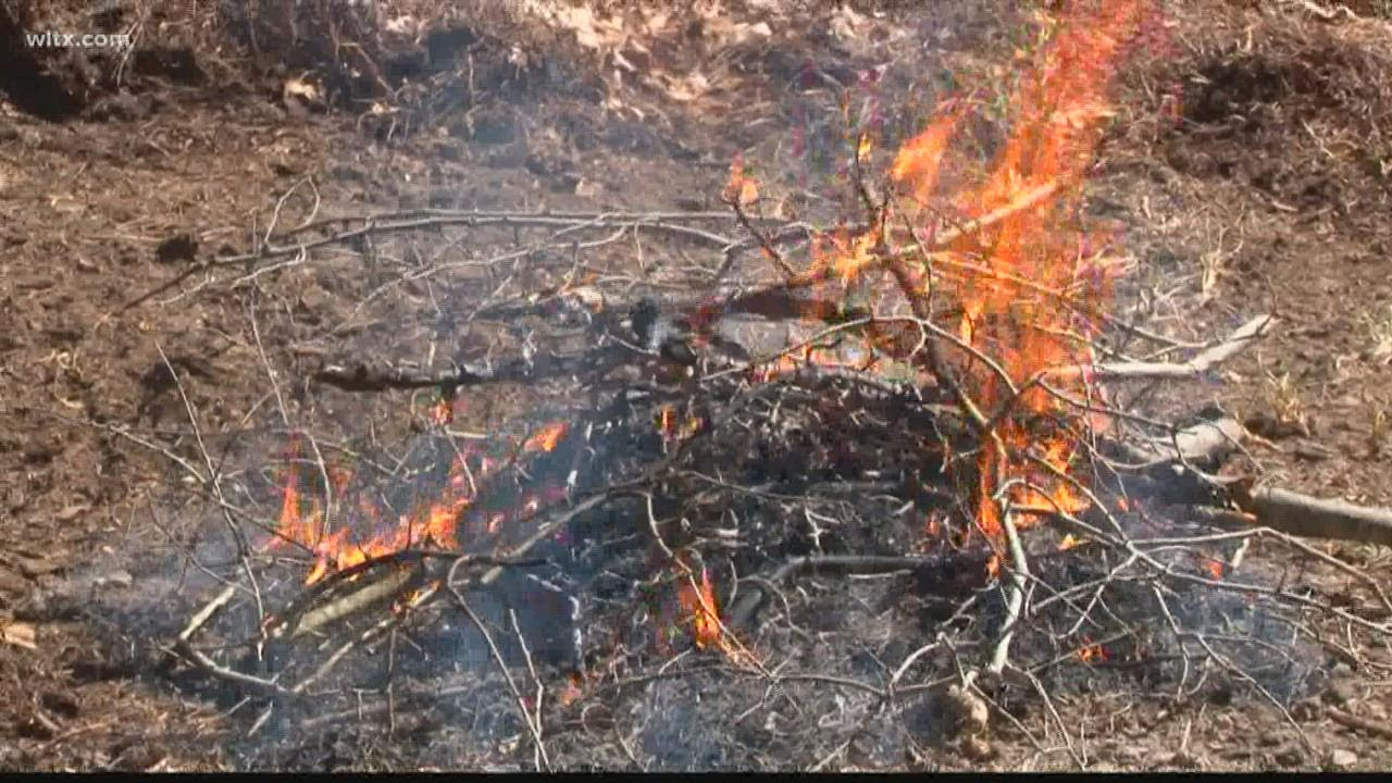 South Carolina Forestry Commission urges extreme caution with outdoor ...