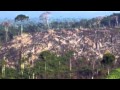 Whitney s  brasil Deforestation