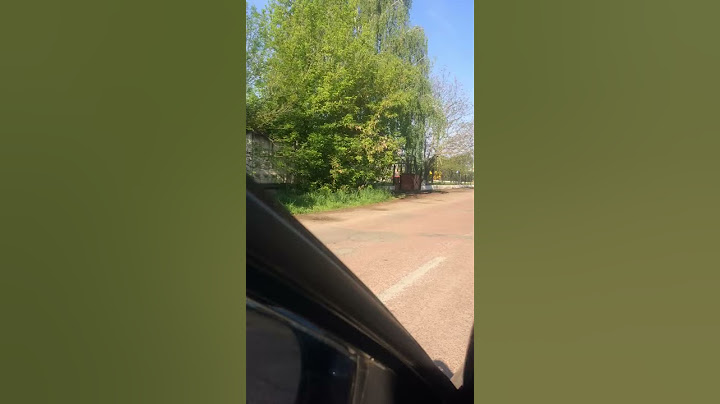 На Житомирщині зняли на відео страуса, який біг вулицею за велосипедистом